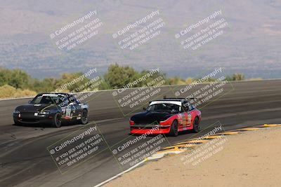 media/Oct-14-2023-Lucky Dog Racing (Sat) [[cef75db616]]/Turn 12 Exit-Bowl Backside (230pm)/